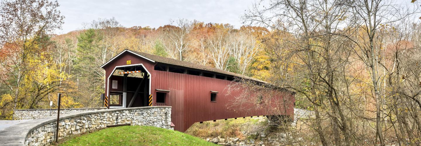 Investment Wealth Planning Services Haas Financial Group Pa