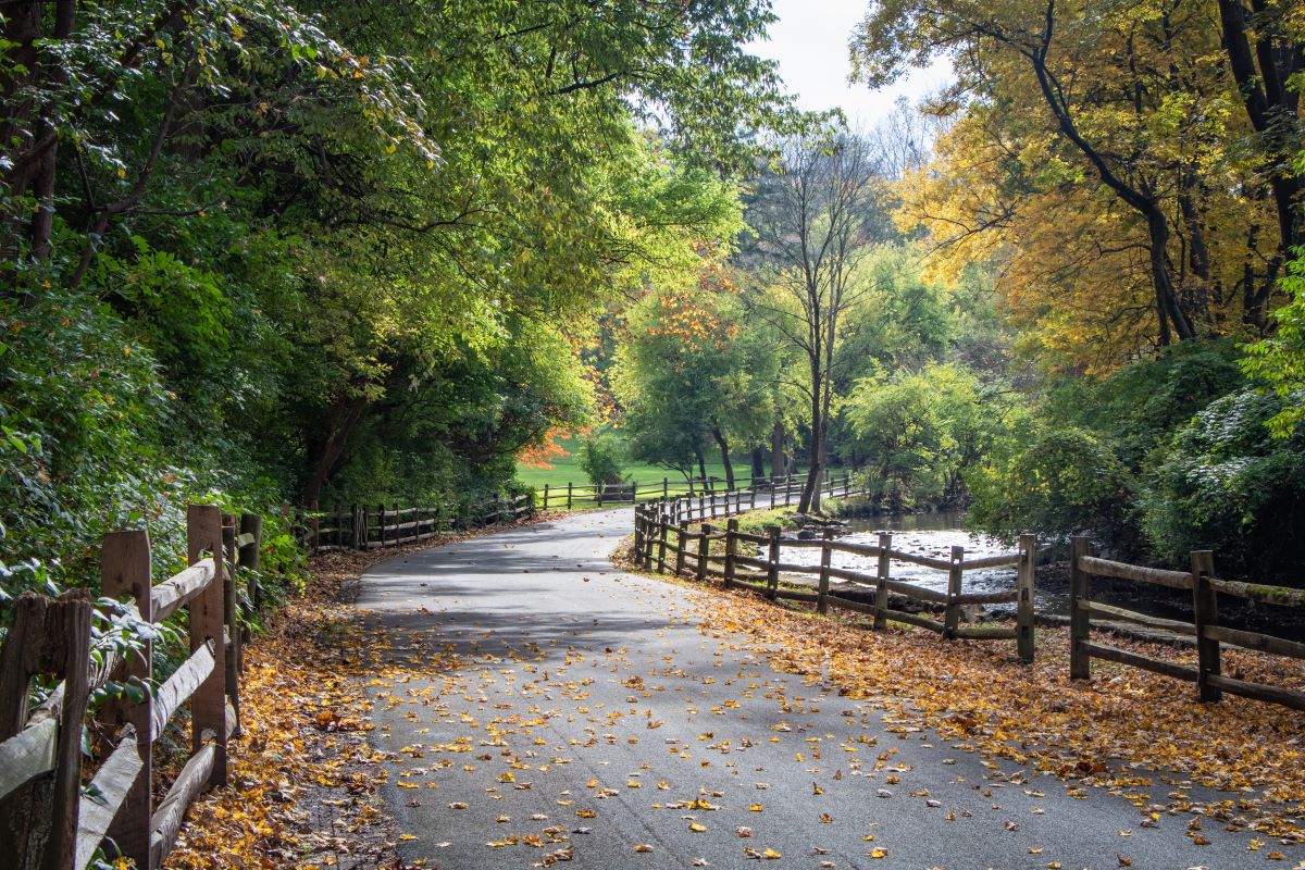 A country road with bright fall foliage in eastern Pennsylvania